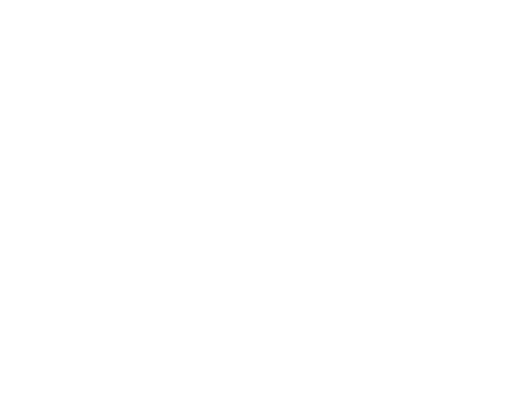 InformanteVialMx